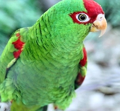 Foto 6
